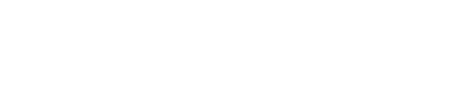 JSM Japan